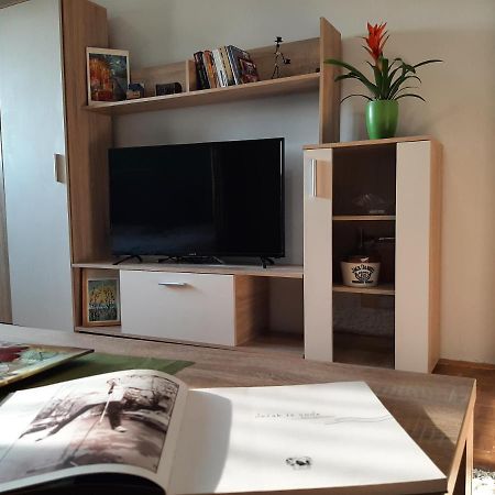 Vuk Apartamento Čačak Exterior foto