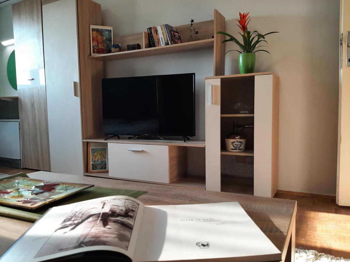 Vuk Apartamento Čačak Exterior foto