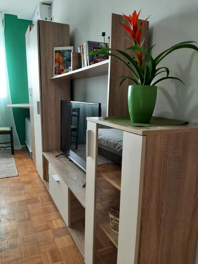 Vuk Apartamento Čačak Exterior foto